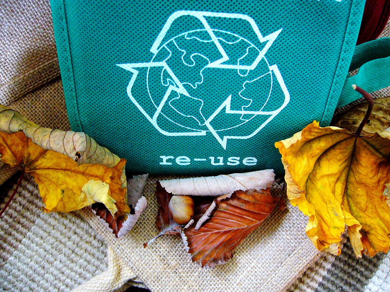 ABC recyklingu w domu – co będzie do tego potrzebne?